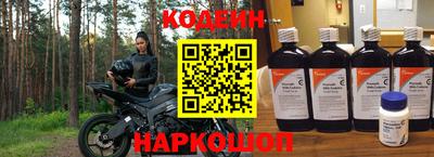крисы Гатчина