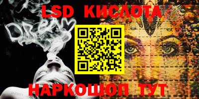 крисы Гатчина