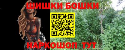 крисы Гатчина