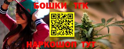 крисы Гатчина