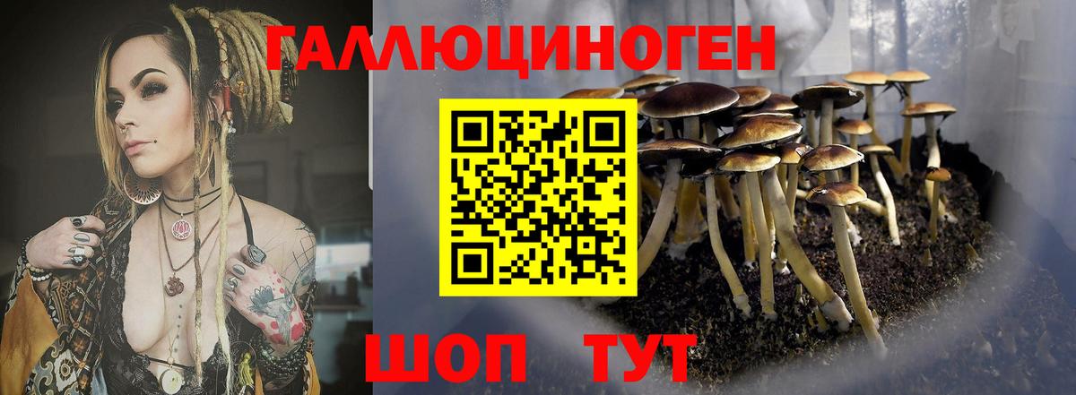 Галлюциногенные грибы мухоморы Холмск